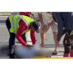 Annandale Student Dies After Collision Involving Police Officer