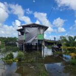 Black Bush Flooding: “it’s more than a pump issue”